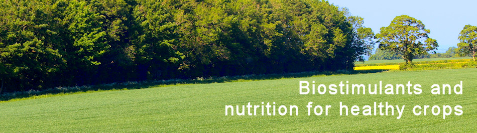 Cover Crops - the way forward for UK agriculture