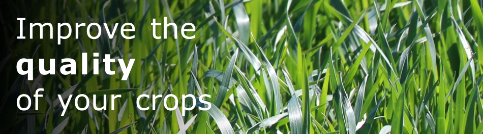 Biostimulants improve the vigour and health of your crops