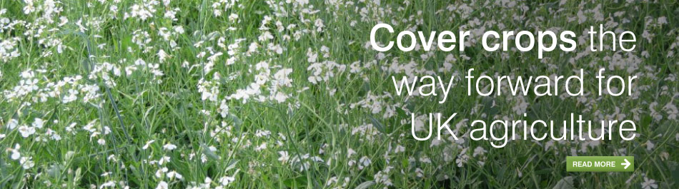 Cover crops the way forward for UK agriculture